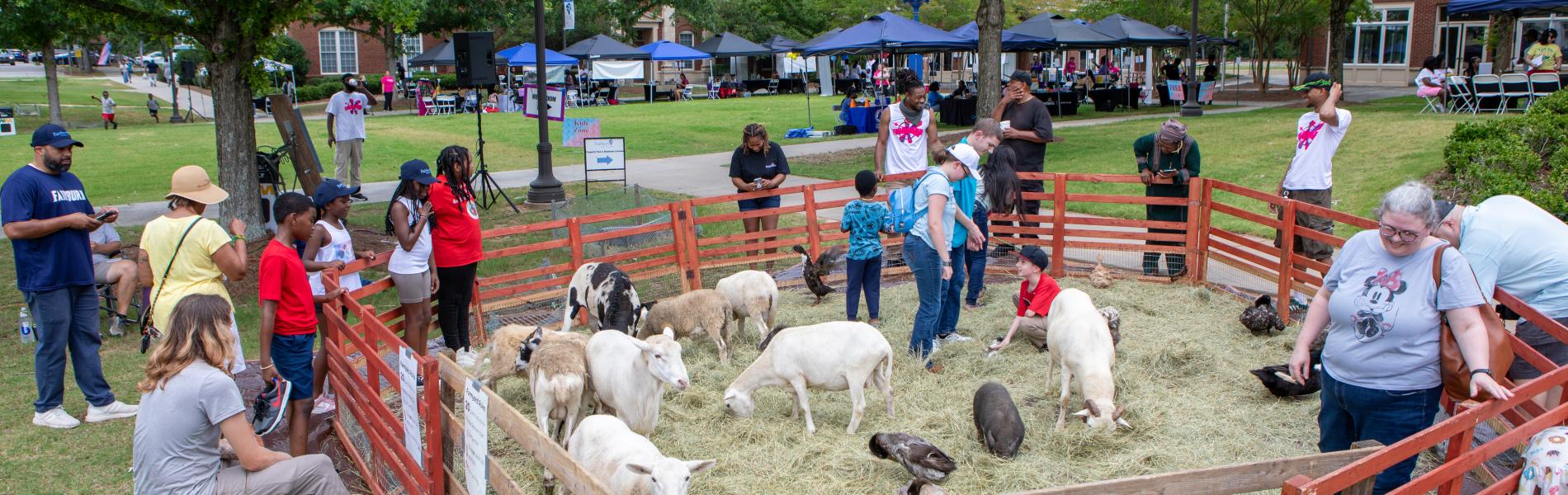 petting zoo, goats, people standing around the petting zoo fence